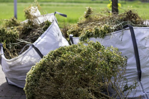 Cost of Shrubs Removal in Oxnard