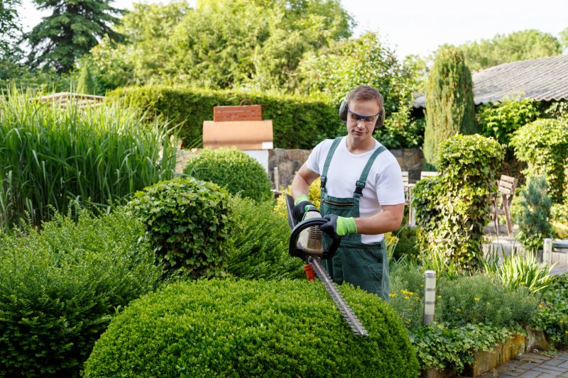 Shrubs with Clean Cuts