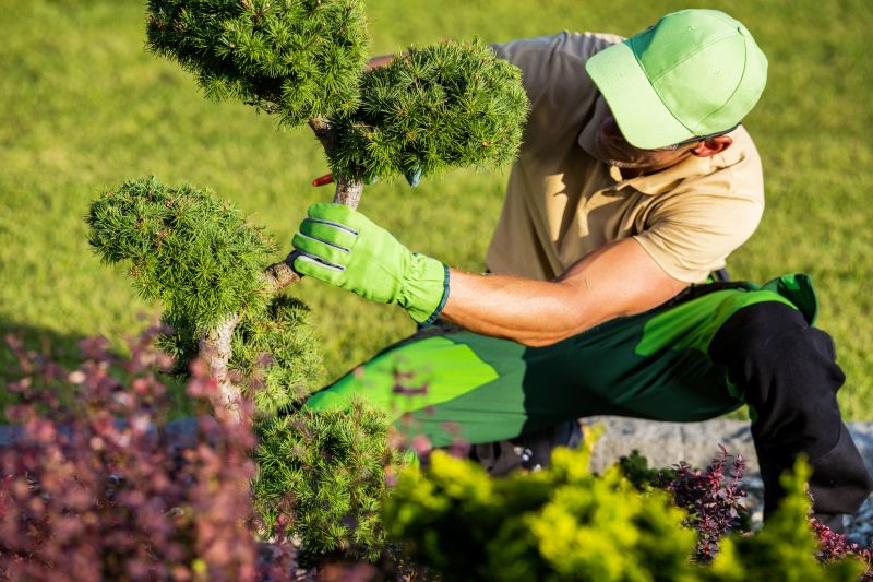 Shrubs with Fresh Trimming